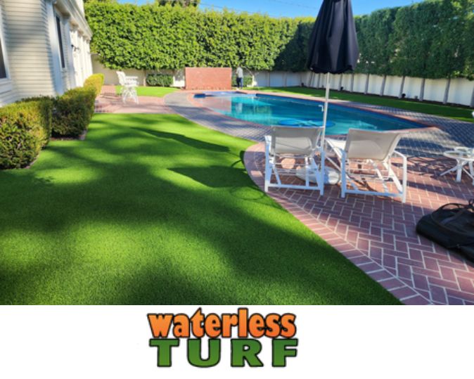 Waterless Turf